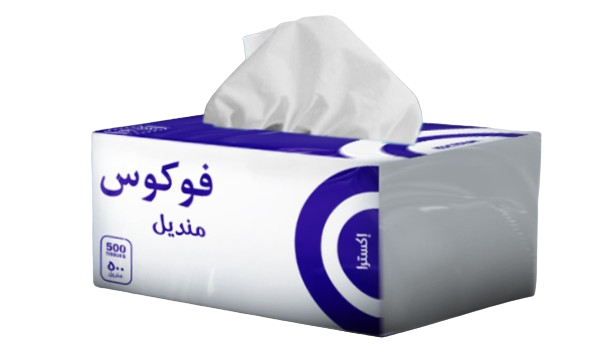 Focus Desk Tissues 500 Sheet - Pack of 18  